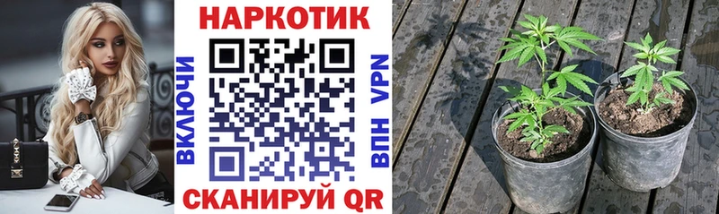 NBOMe Можайск
