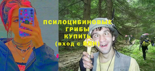 бутират Гусев