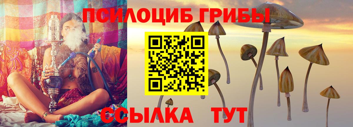 Псилоцибиновые грибы мицелий  Галлюциногенные грибы Psilocybe  Можайск  Вход с VPN 