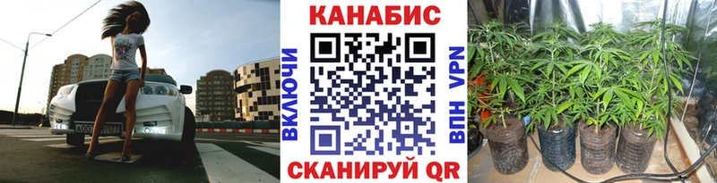 Каннабис индика Можайск